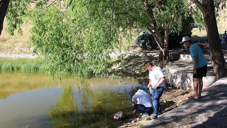 Sülüklü göle kim bakacak!