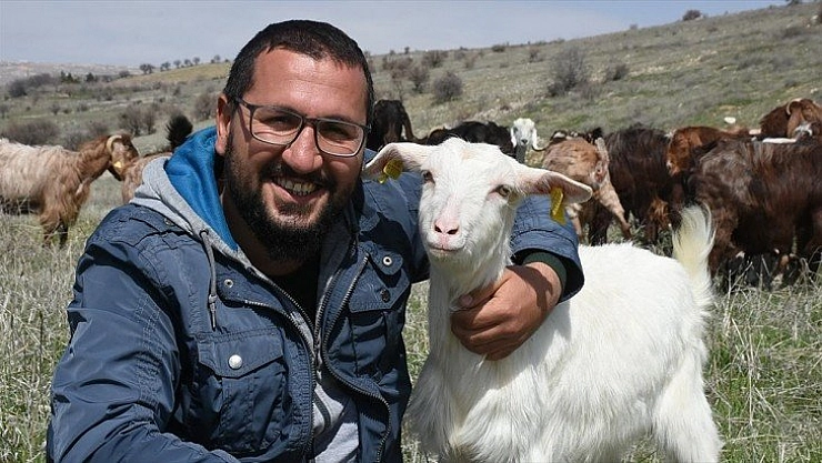 Süt talebine yetişemiyor