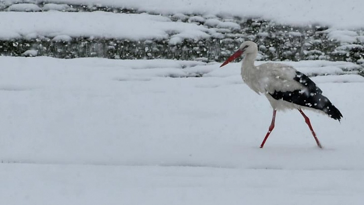 Türkiye'yi nasıl bir kış bekliyor?