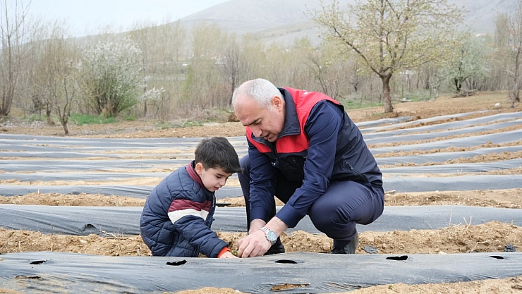 Tarımda Yeni Dönem: Malatya'nın 3 ilçesinde üretimi başladı!