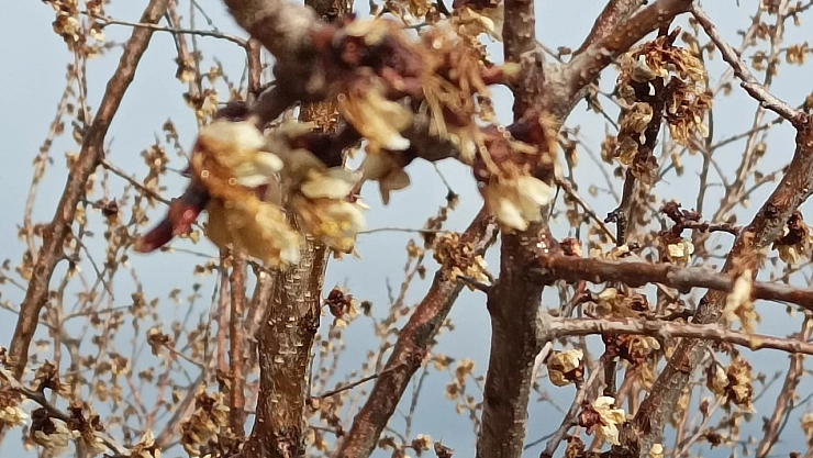 TARSİM Tartışması Büyüyor: 'Yüzde 15'i bile sigortalı değil!'