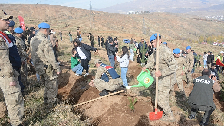 Tatvan'da fidanlar toprakla buluştu