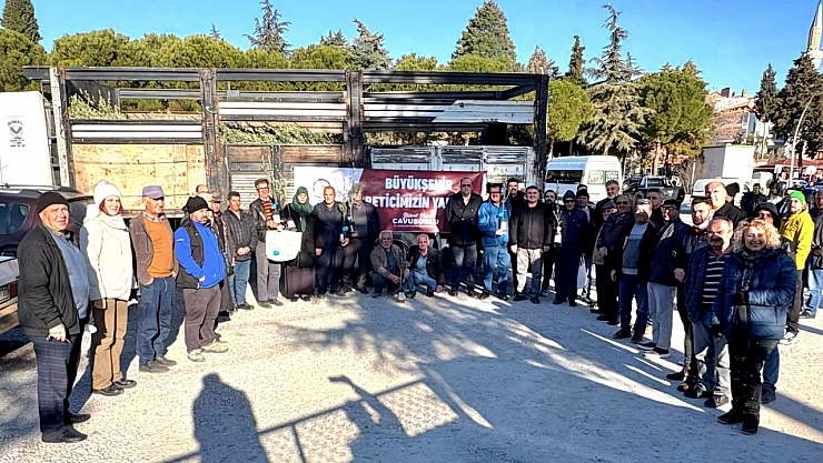 Tavaslı çiftçilere zeytin fidanları dağıtıldı