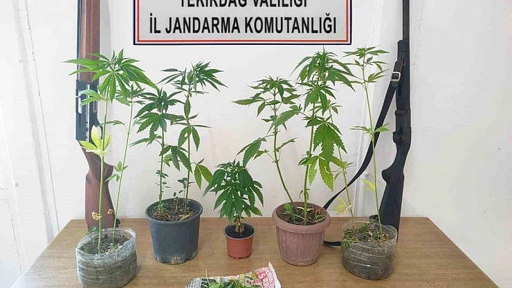 Tekirdağ'da operasyonda 10 gözaltı