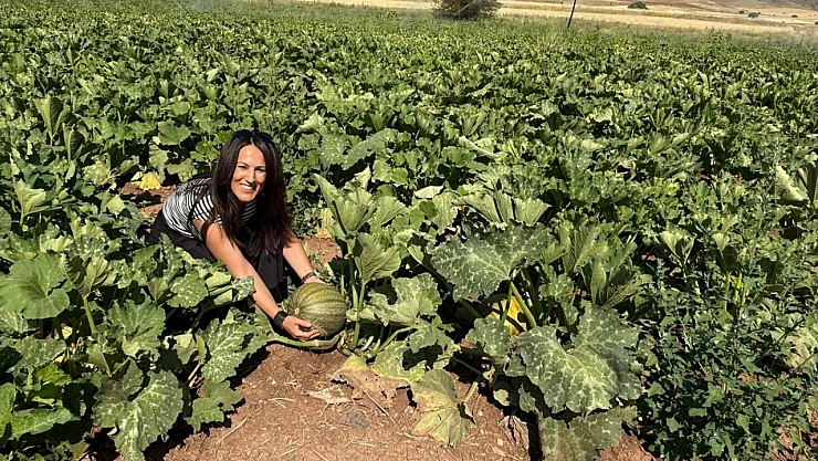 Tercan'da çerezlik kabak üretimi yaygınlaşıyor