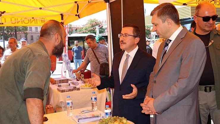 Anadolu üniversiteleri tanıtıldı