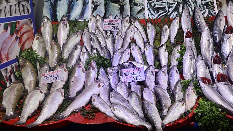 Balık Pazarlarında Fiyat Artışı! En Ucuz Balık Hangisi? İşte Detaylar...