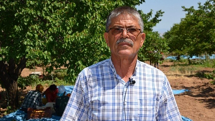 TMO alım yapsın