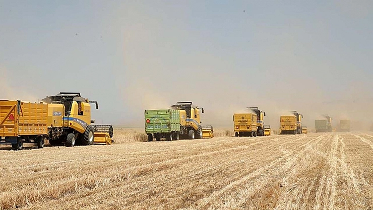 TMO fiyatları açıkladı: Bakanlıktan üreticiye 2 bin 500 TL destek...