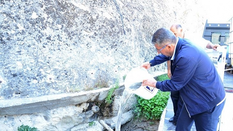 Tohma'ya sazan bırakıldı