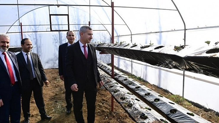 Topraksız çilek üretimi