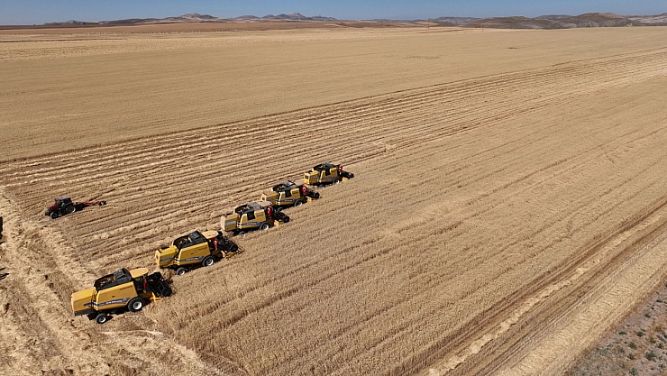 Tritikale rekor kırıldı