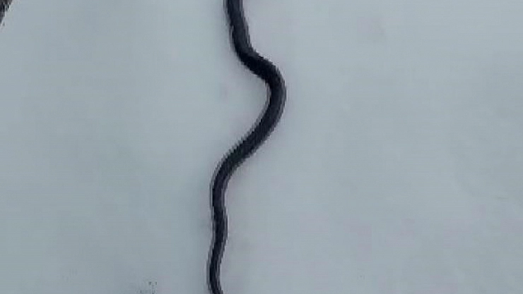 Tunceli'de deprem korkusu