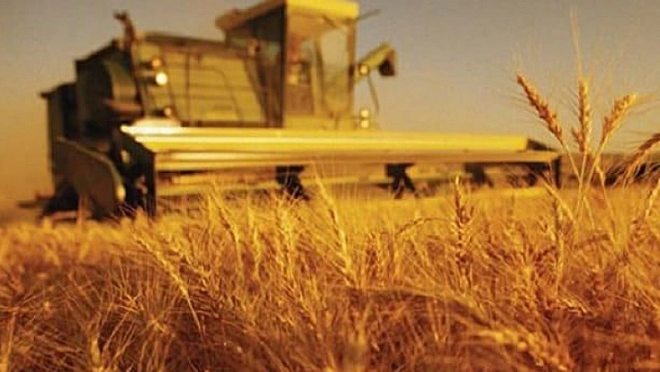 Türkiye 'Genel Tarım' sayımına hazırlanıyor: Kapsamlı veri tabanı kurulacak...