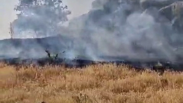 Tut ilçesinde örtü yangını