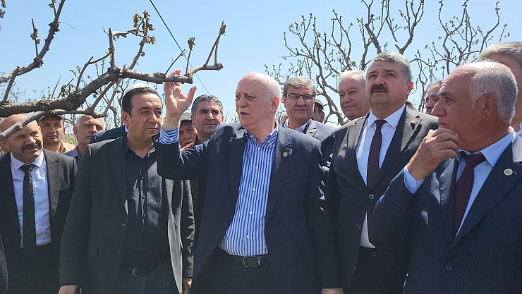 TZOB Genel Başkanı zirai don vuran bahçeleri inceledi