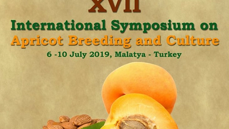 Uluslararası kayısı sempozyumu