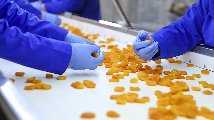Kayısıda fiyat skandalı: Üreticinin kazancını kim yiyor?