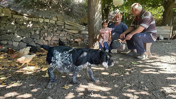 Üreticiler tilki nöbetinde!