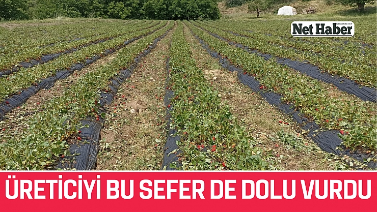 Üreticiyi bu sefer de dolu vurdu