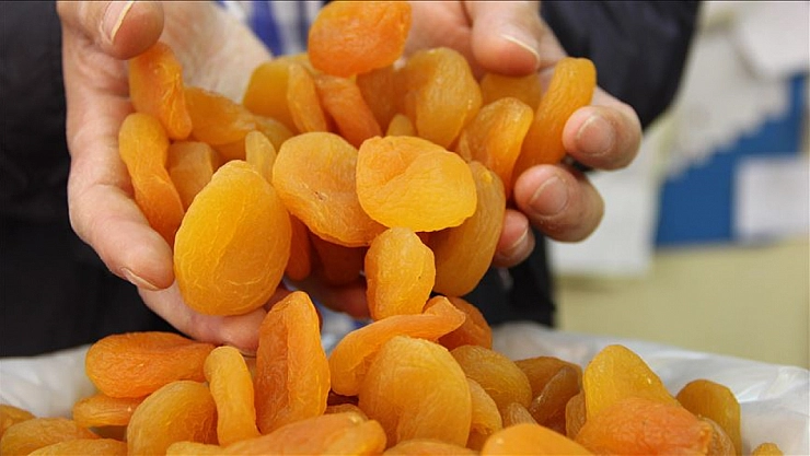 Ürün Yok, Etiket Var: Malatya Kayısısı'nın İtibarı Tehlikede