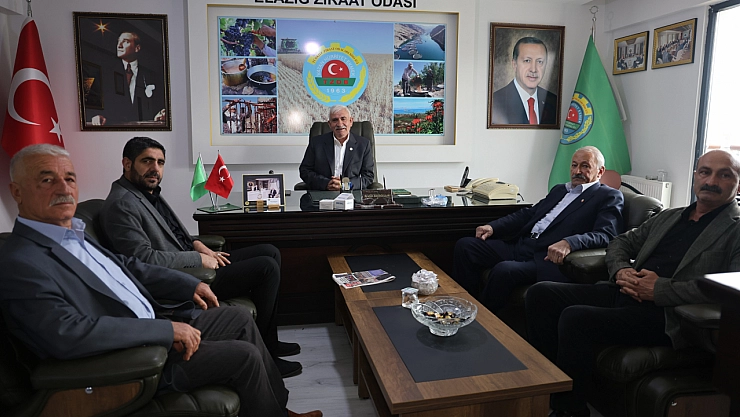 Üründen vazgeçtik, ağaçlar kalmamış