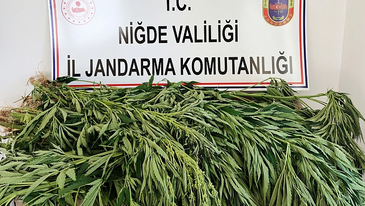 Uyuşturucu operasyonu