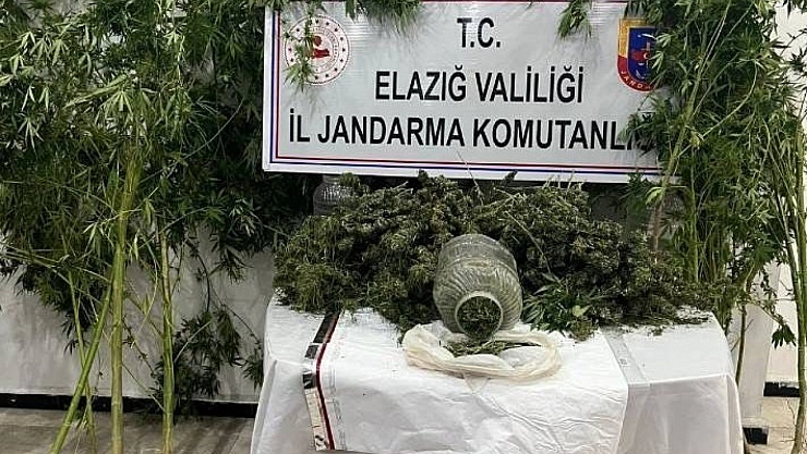 Uyuşturucuyla mücadele: 1 tutuklama
