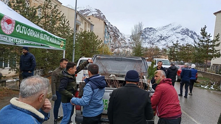 Vatandaşlara ücretsiz fidan dağıtıldı