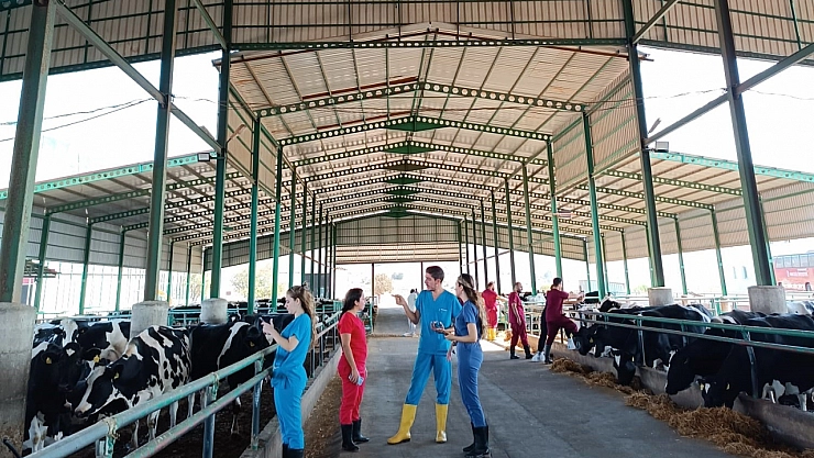 Veterinerler, Kıbrıs'a gidiyor!