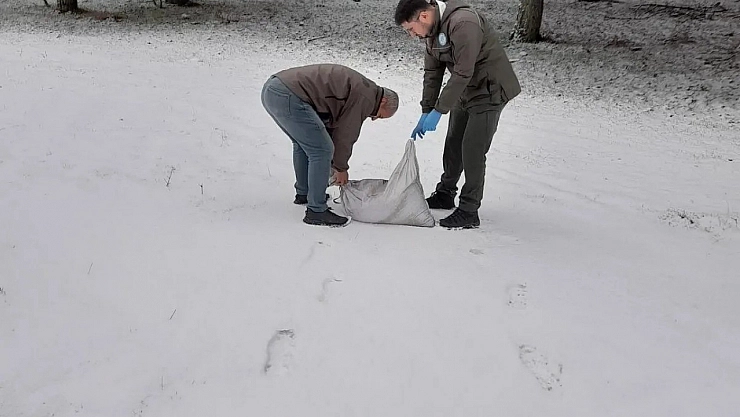 Yaban hayatı unutulmadı