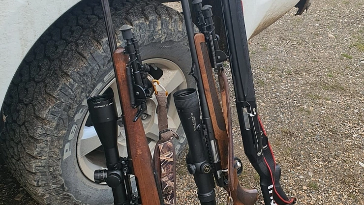 Yaban keçisi vurmanın cezası ağır oldu