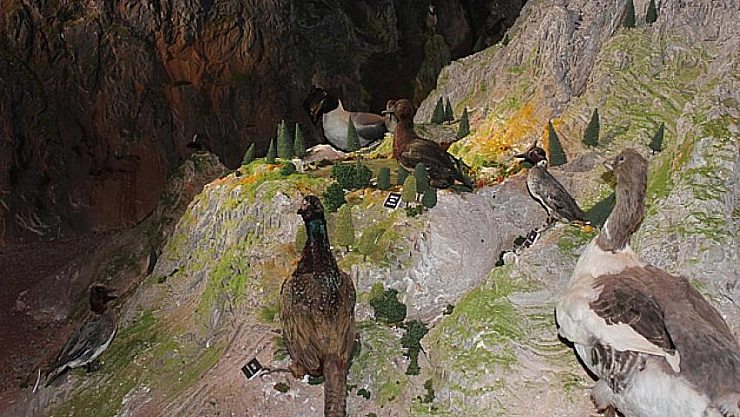 25 bin kişi ziyaret etti