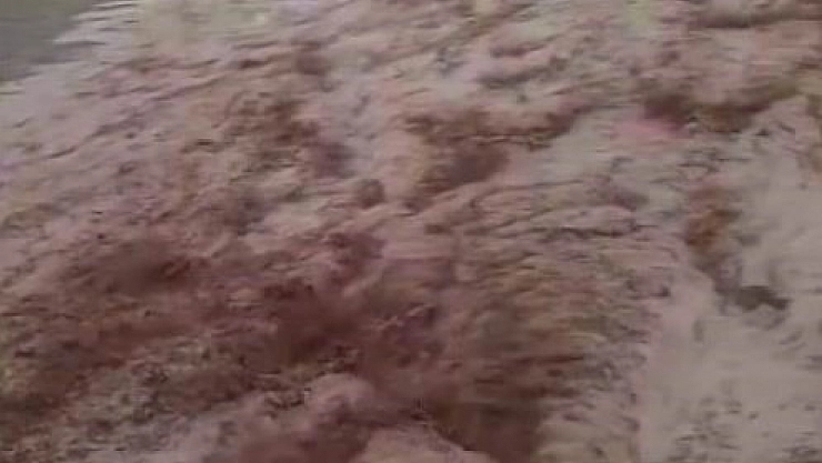 Yağış sonrası dere coştu