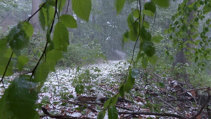 Yağmur Malatya'yı terk etmiyor! Gök gürültülü sağanak yağış bekleniyor....