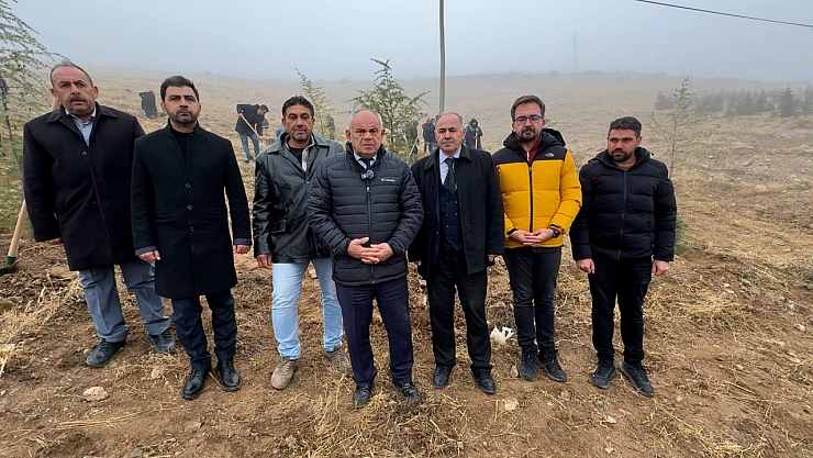 Yahyalı'ya bin 200 fidan dikildi