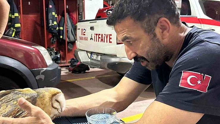Yaralı baykuşu itfaiye kurtardı