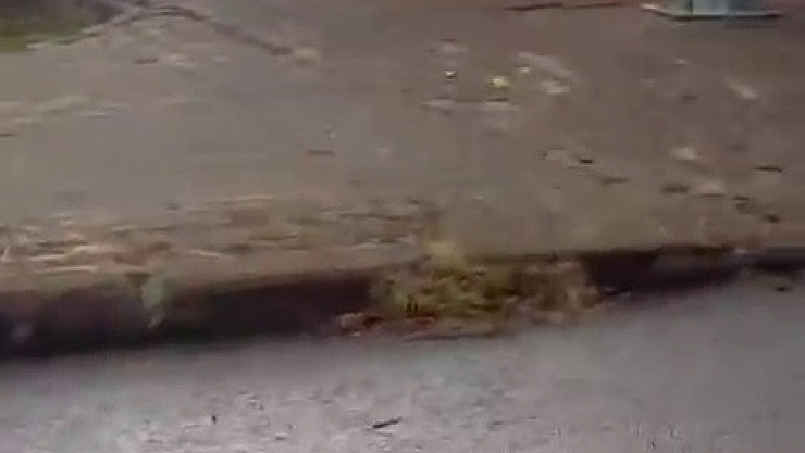 Yanan araç, alev topuna döndü