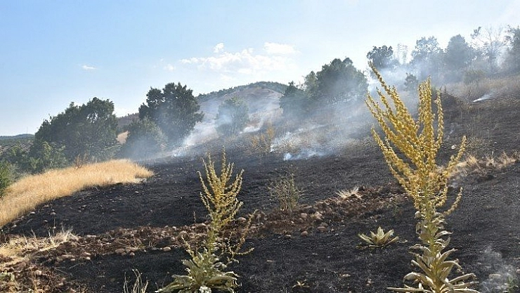 Yangın 7 saatte söndürüldü