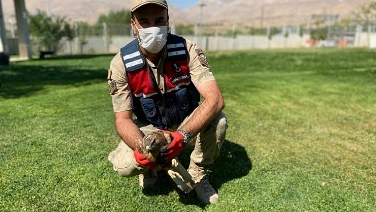 Jandarma sahip çıktı