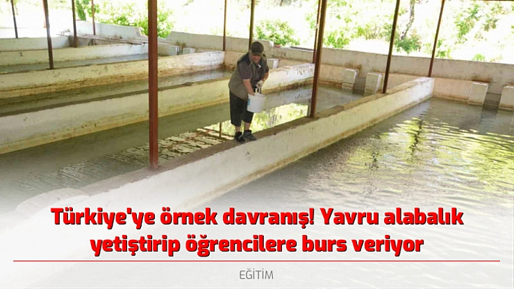 Türkiye'ye örnek davranış! Yavru alabalık yetiştirip öğrencilere burs veriyor