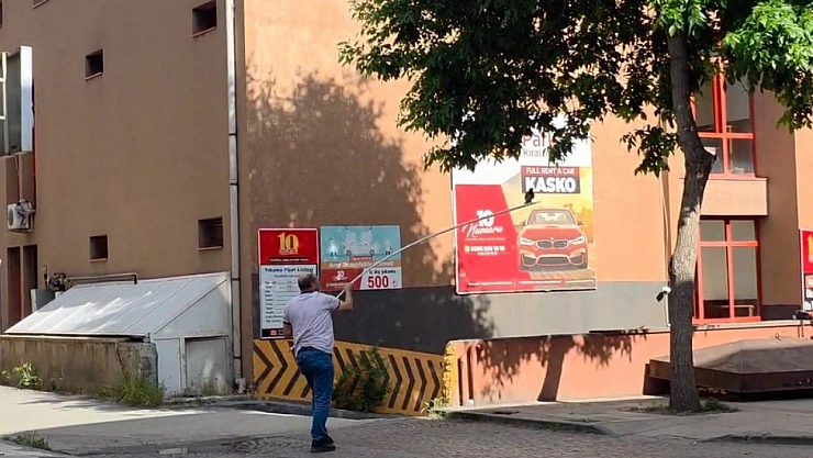 Yavru Kargaya Anne Şefkati