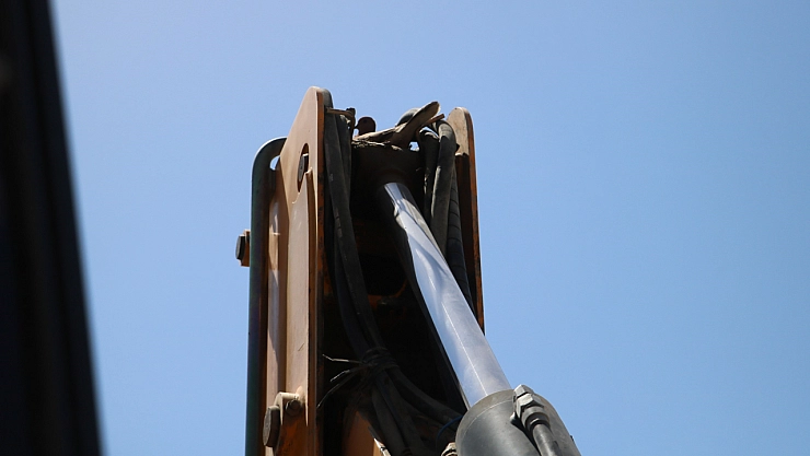 Yavruların yuvadan uçup gitmesini bekliyor