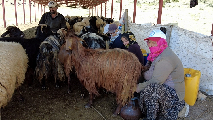 Yaylaya güneş enerjisiyle su ulaştırıldı