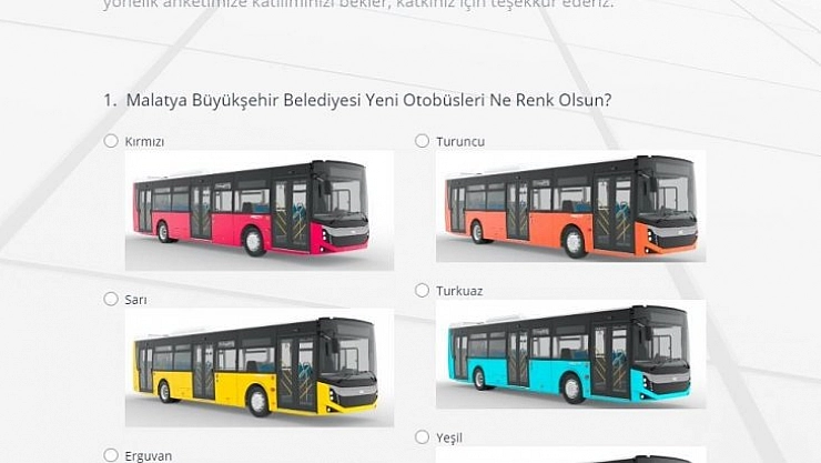 Rengi anket ile belirlenecek