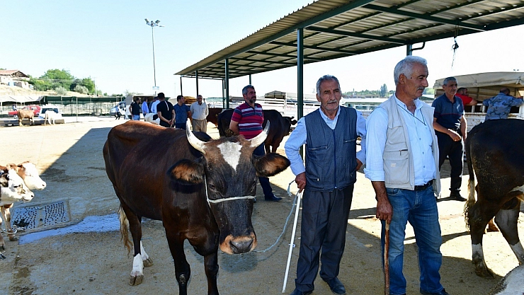 Kurban satış ve kesim yerleri belirlendi!