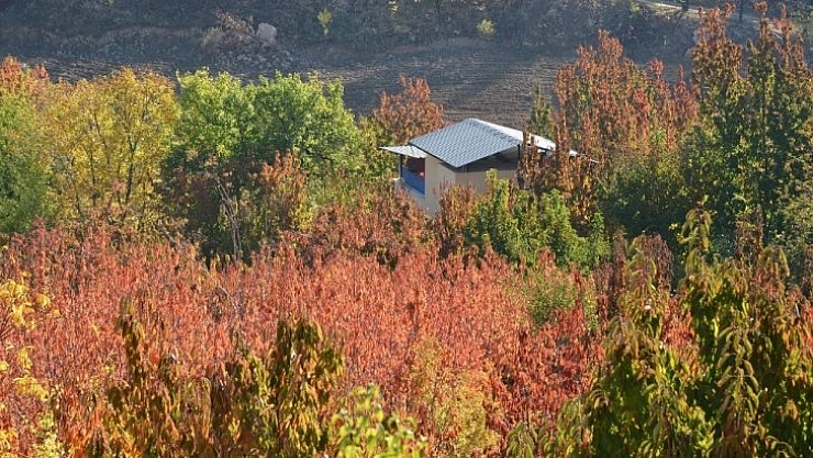 Yeşilyurt'ta sonbahar