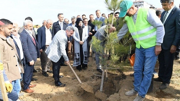26 bin 589 metrekare alan yeşillendirildi