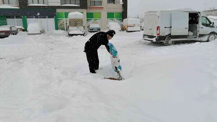 Sokak hayvanları unutulmadı