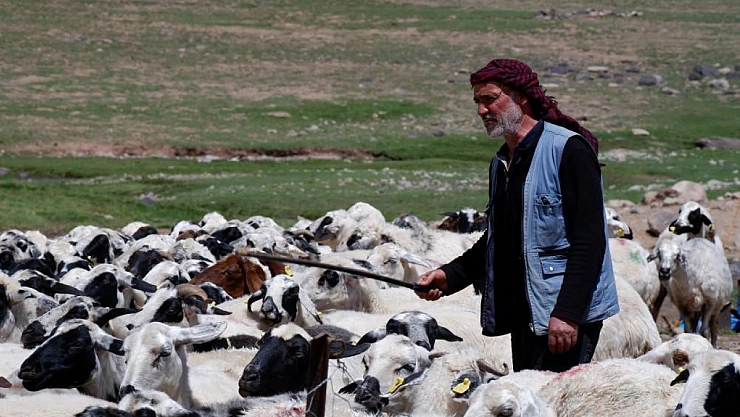 Yetiştiricilere 127,7 milyon TL kredi desteği